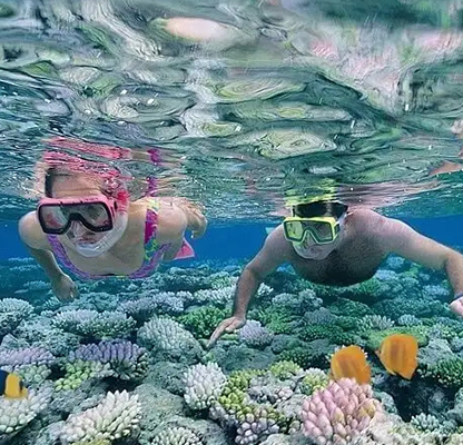 Snorkeling